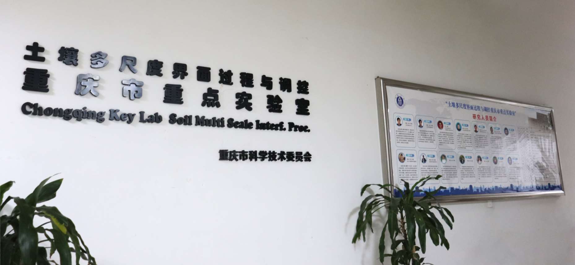 微信截图_20240117094648 微信截图_20240117094648